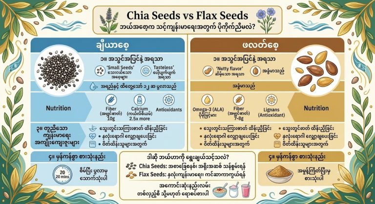 Chia Seeds vs Flax Seeds – ဘယ်အစေ့က သင့်ကျန်းမာရေးအတွက် ပိုကိုက်ညီမလဲ?